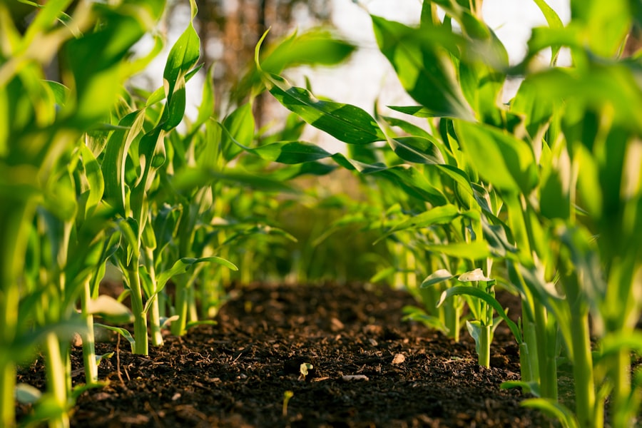 Florida vacant land cash offer — sell your lot or acreage fast without a realtor Florida vacant land cash offer — sell your lot or acreage fast without a realtor